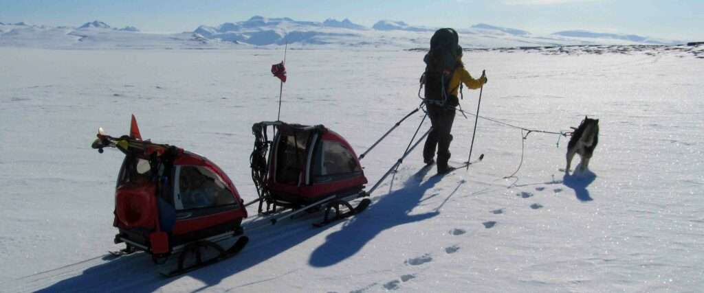 hund og dame som trekker to pulker i vinterlandskap