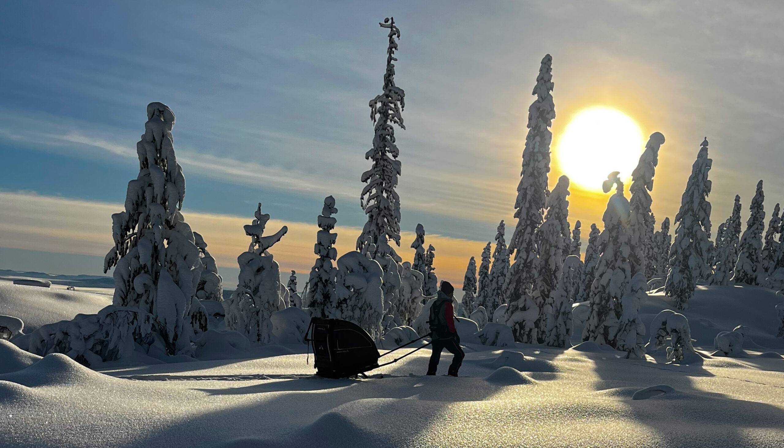 Nordic Cab Barnepulk - Solid Red Justerbare seter for ett eller to barn. Sikker og stabil med brede twin-tip ski. Fleksibel sittestilling for barnas komfort. Kan ombygges til sykkelvogn og turvogn.