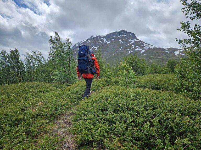 Bæremeis for barn i norsk natur