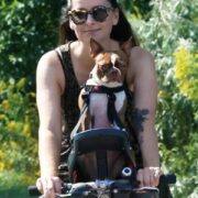 small dog bike carrier | Buddyrider