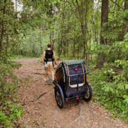 Woman pulling Nordic Cab bike trailer with harness along forest path.