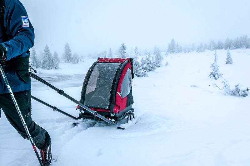 Child ski-sled maintenance | red | Nordic Cab