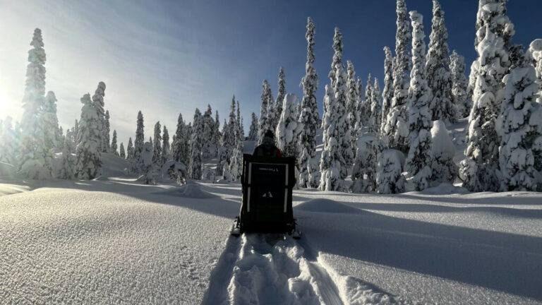 A man snowshoeing through a snow-covered forest, pulling a Nordic Cab sled behind him under bright sunlight.